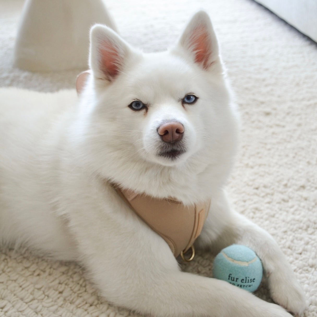 So Fetch! Tennis Ball - Cloud