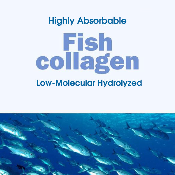 [M GOLD] Collagen Powder