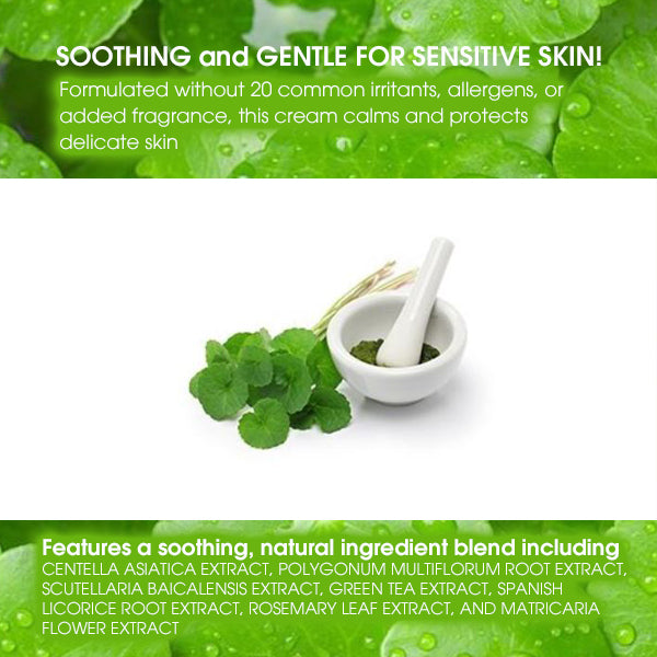 HEALSEED Aqua Balancing Syrup Toner