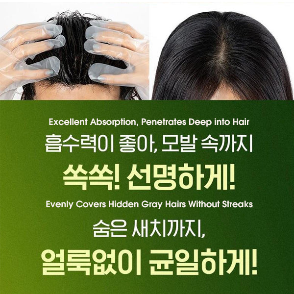 RICHENNA EZ Speedy Shampoo-Like Hair Color - Green Edition