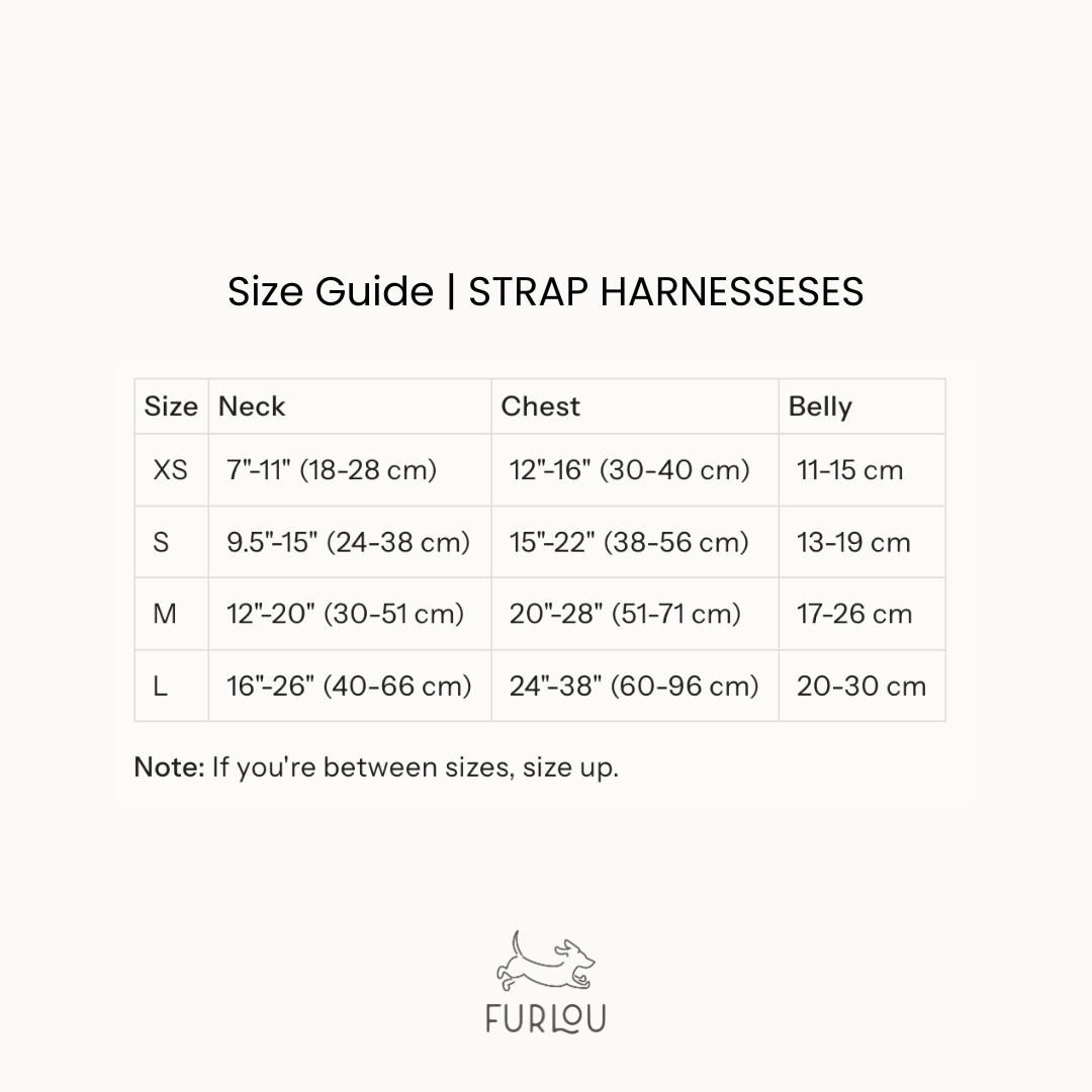 Rainbow - Dog Harness