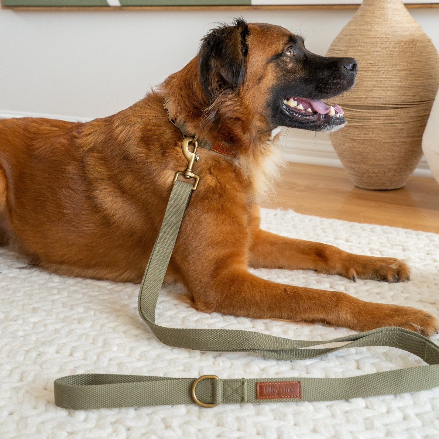 Hemp Cotton Dog Collar - Durable, Sustainable, Adjustable, Lightweight & Soft