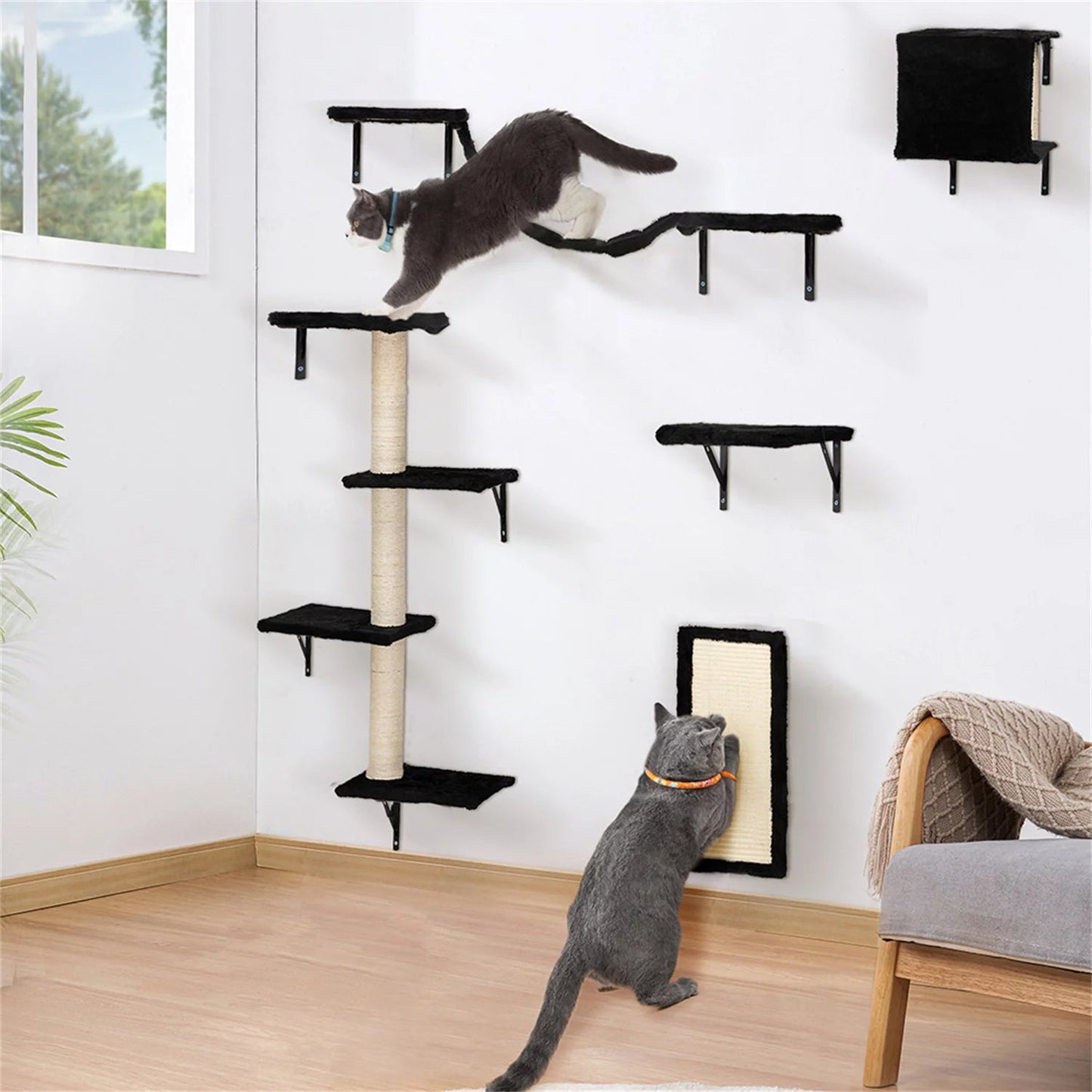 Wall-Mounted Cat Condo & Climbing Tower – Space-Saving, Sturdy & Fun for Multiple Cats