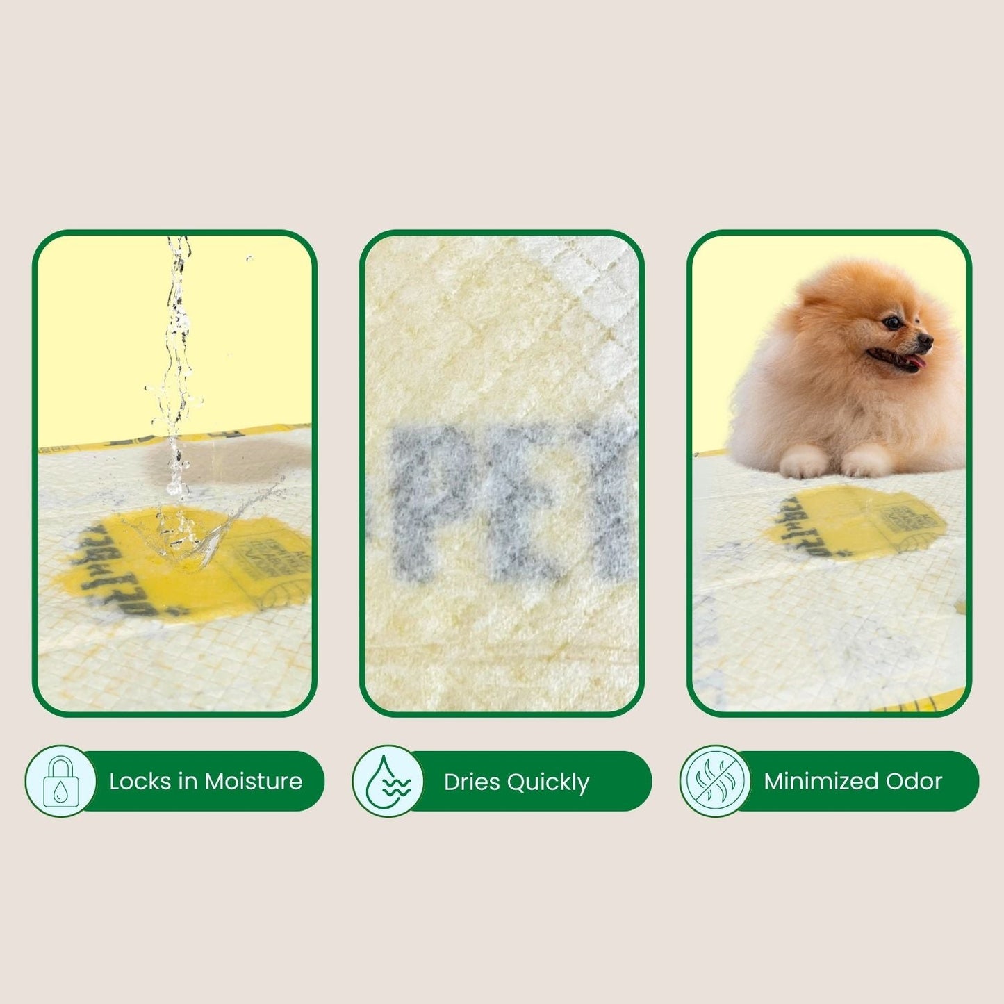 Pee Pads for Dogs