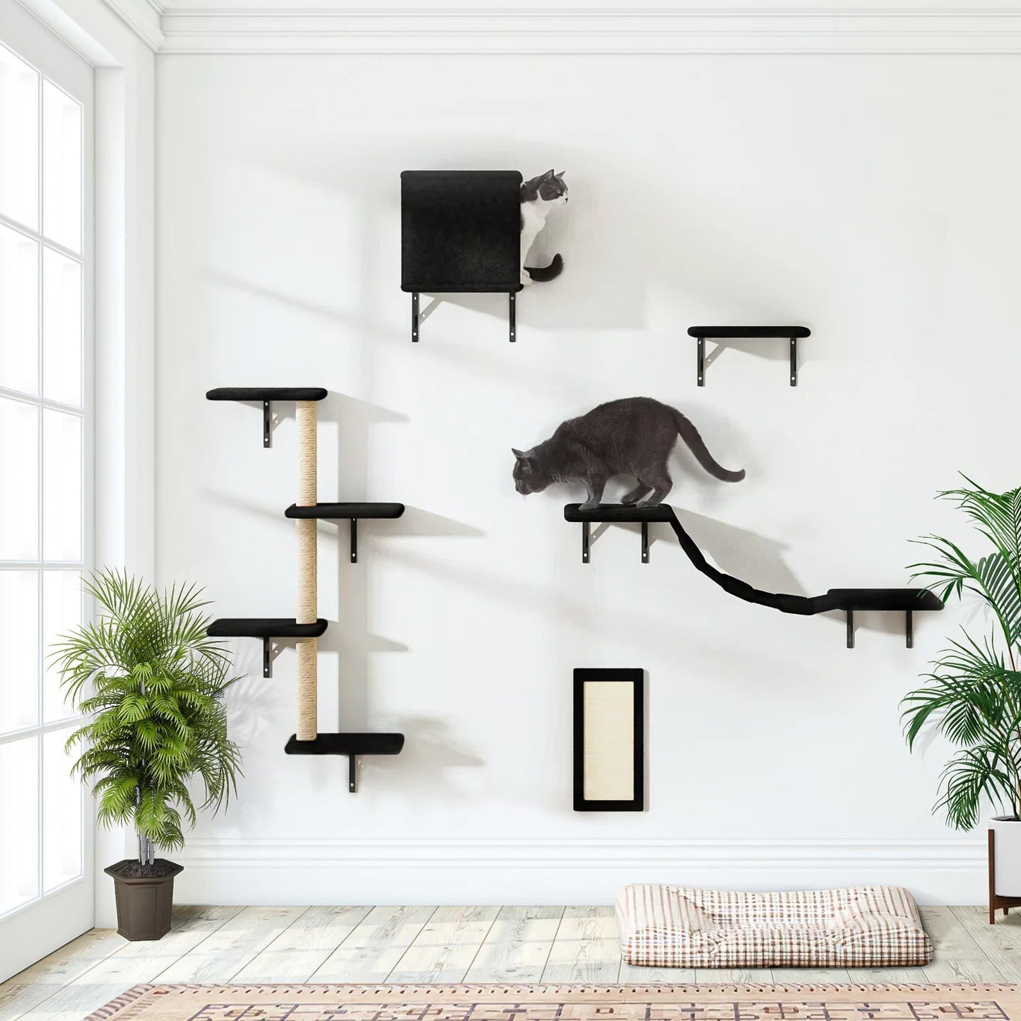 Wall-Mounted Cat Condo & Climbing Tower – Space-Saving, Sturdy & Fun for Multiple Cats