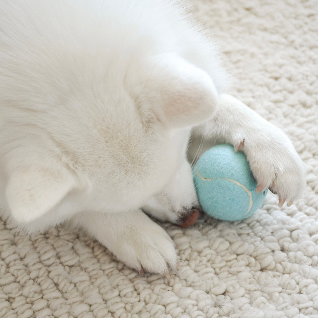 So Fetch! Tennis Ball - Cloud