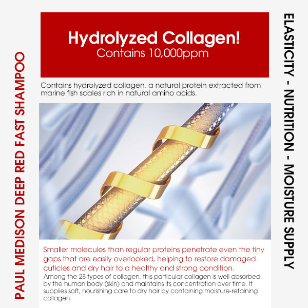 [PAUL MEDISON] Deep Red Fast Hair Loss Shampoo