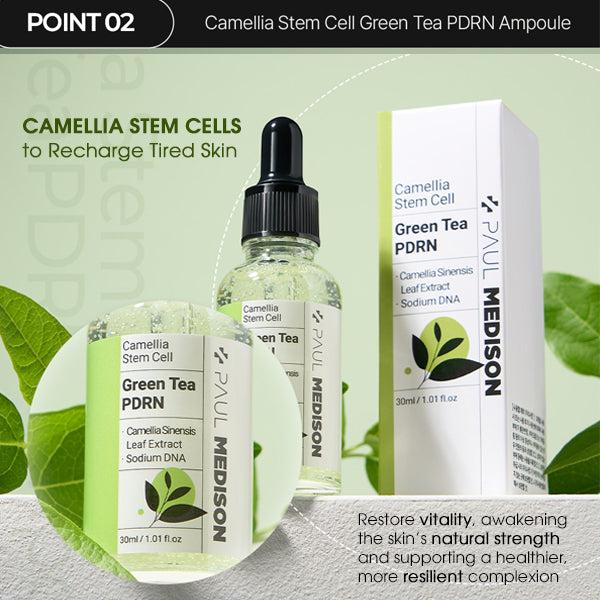 PAUL MEDISON Green Tea PDRN Ampoule