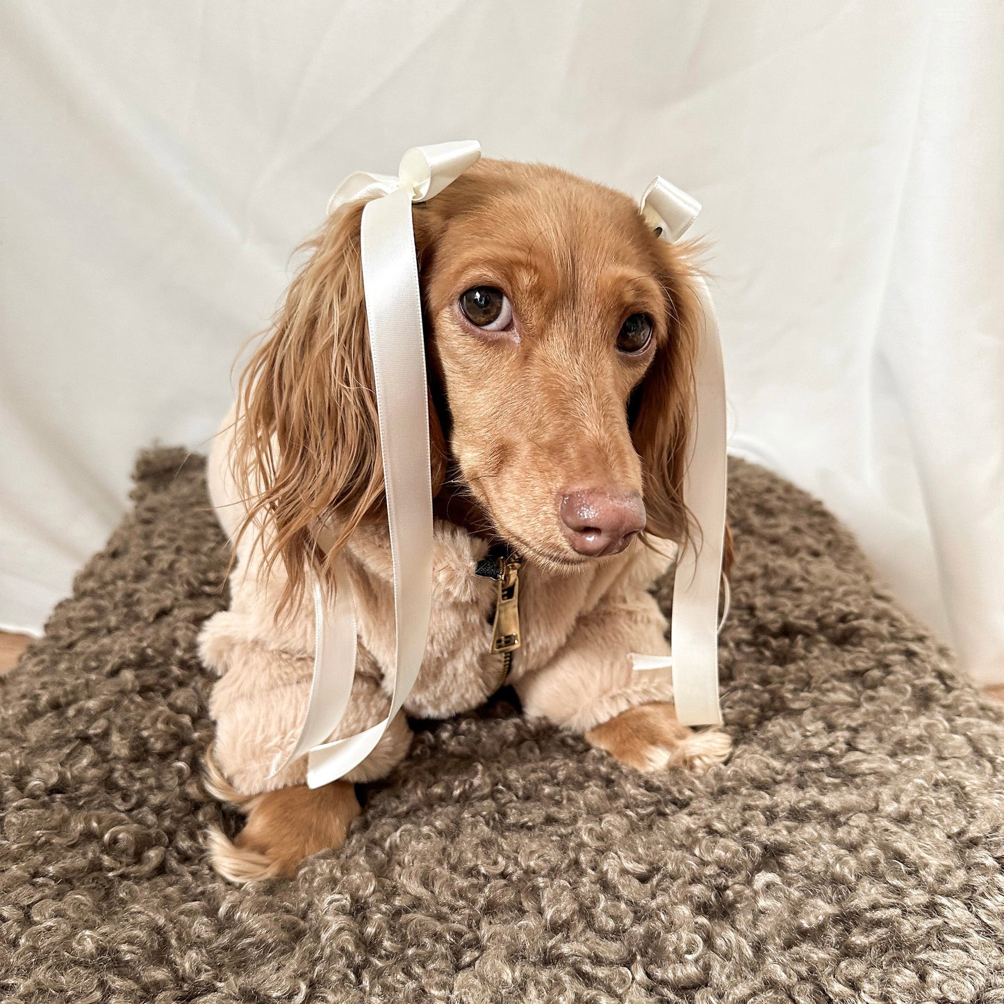 Furi Pet Coat - Sand