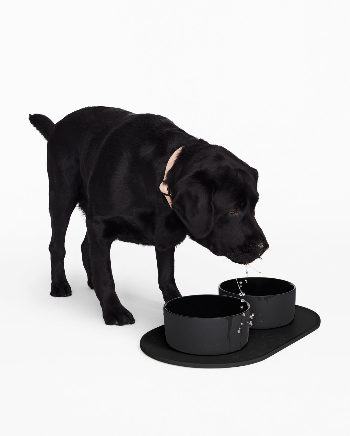 Pet Dog Feeding Bowl