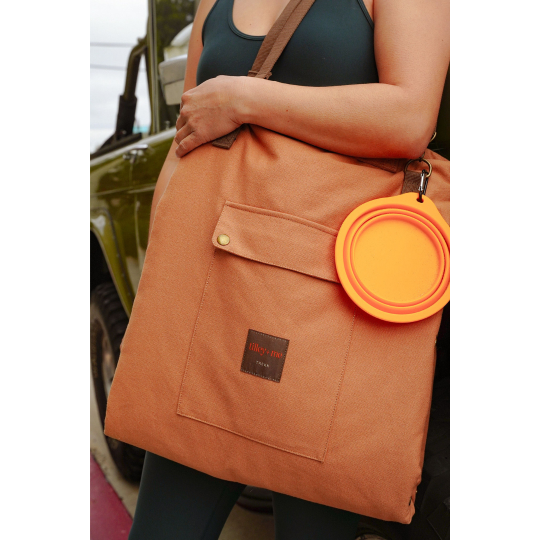 Collapsible Pet Bowl with Clip – Compact, Reusable and Easy to Clean