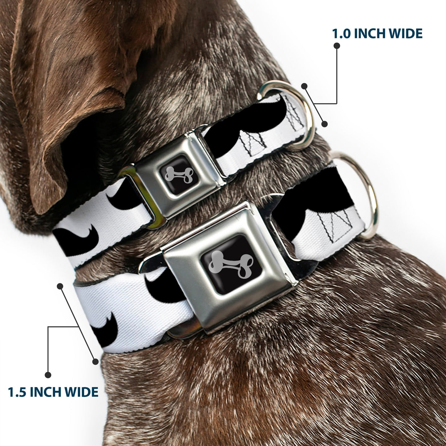 Dog Bone Seatbelt Buckle Collar - Mustaches White/Black