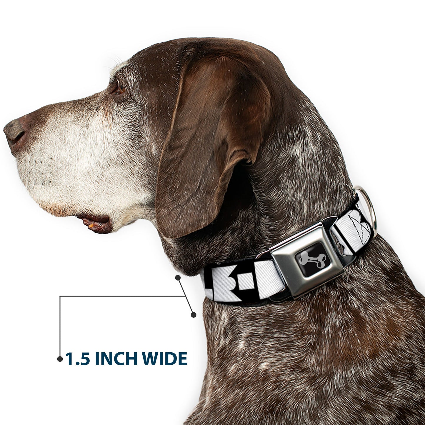Dog Bone Seatbelt Buckle Collar - BUCKLE-DOWN Shapes Black/White