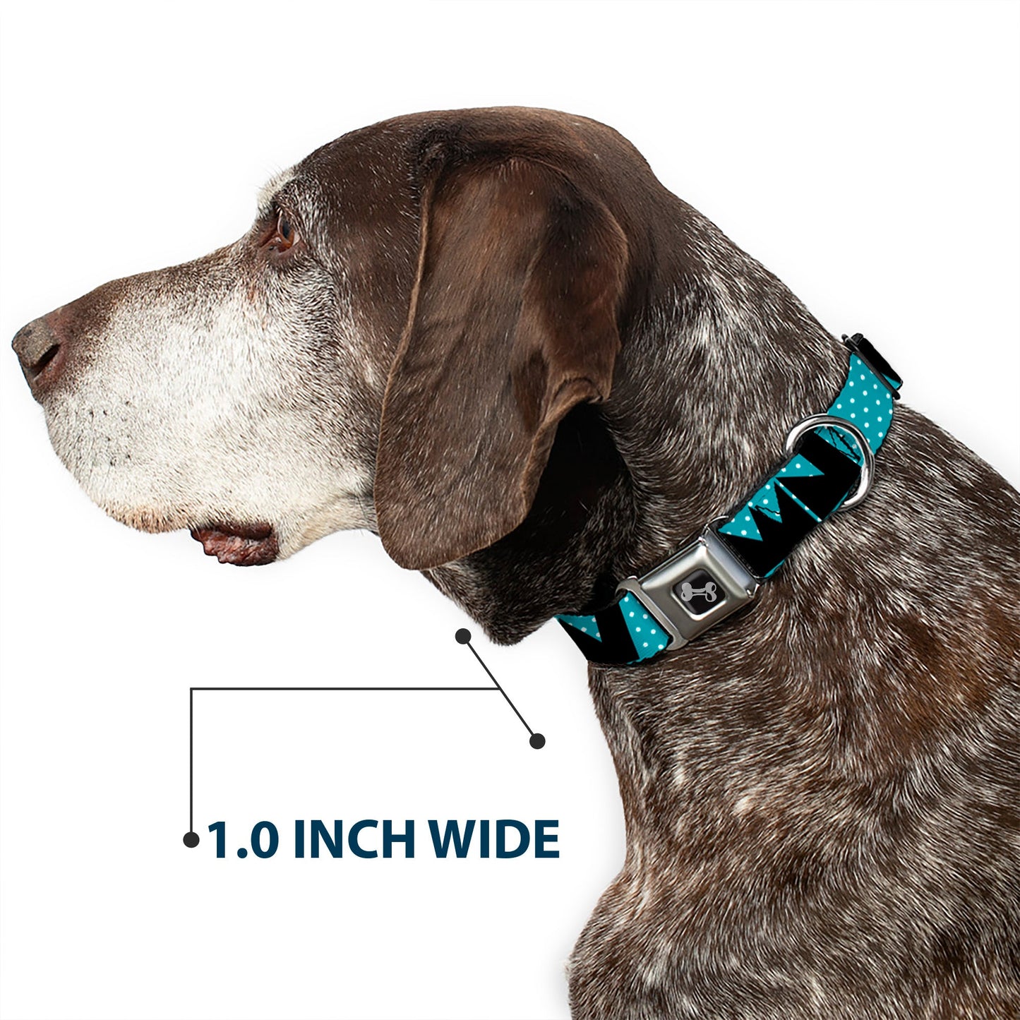 Dog Bone Seatbelt Buckle Collar - BUCKLE-DOWN Shapes Dot Turquoise/White/Black