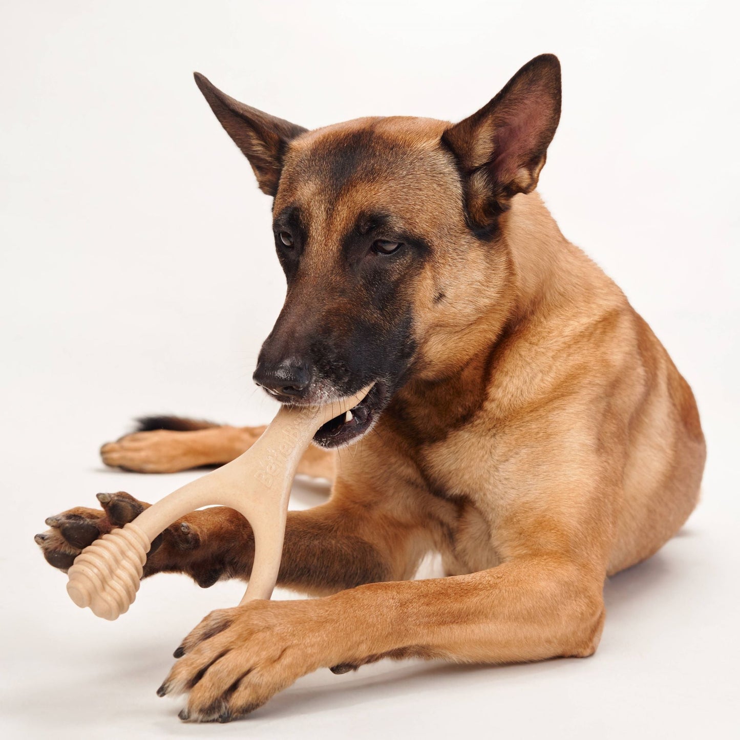 BetterBone MEDIUM Durability CHEW TOY: Perfect Chew for Everyday Chewers | Natural Ingredients, Eco-Friendly, Non-Toxic