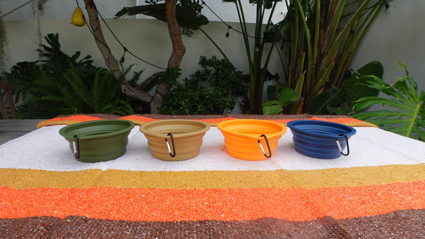 Collapsible Pet Bowl with Clip – Compact, Reusable and Easy to Clean