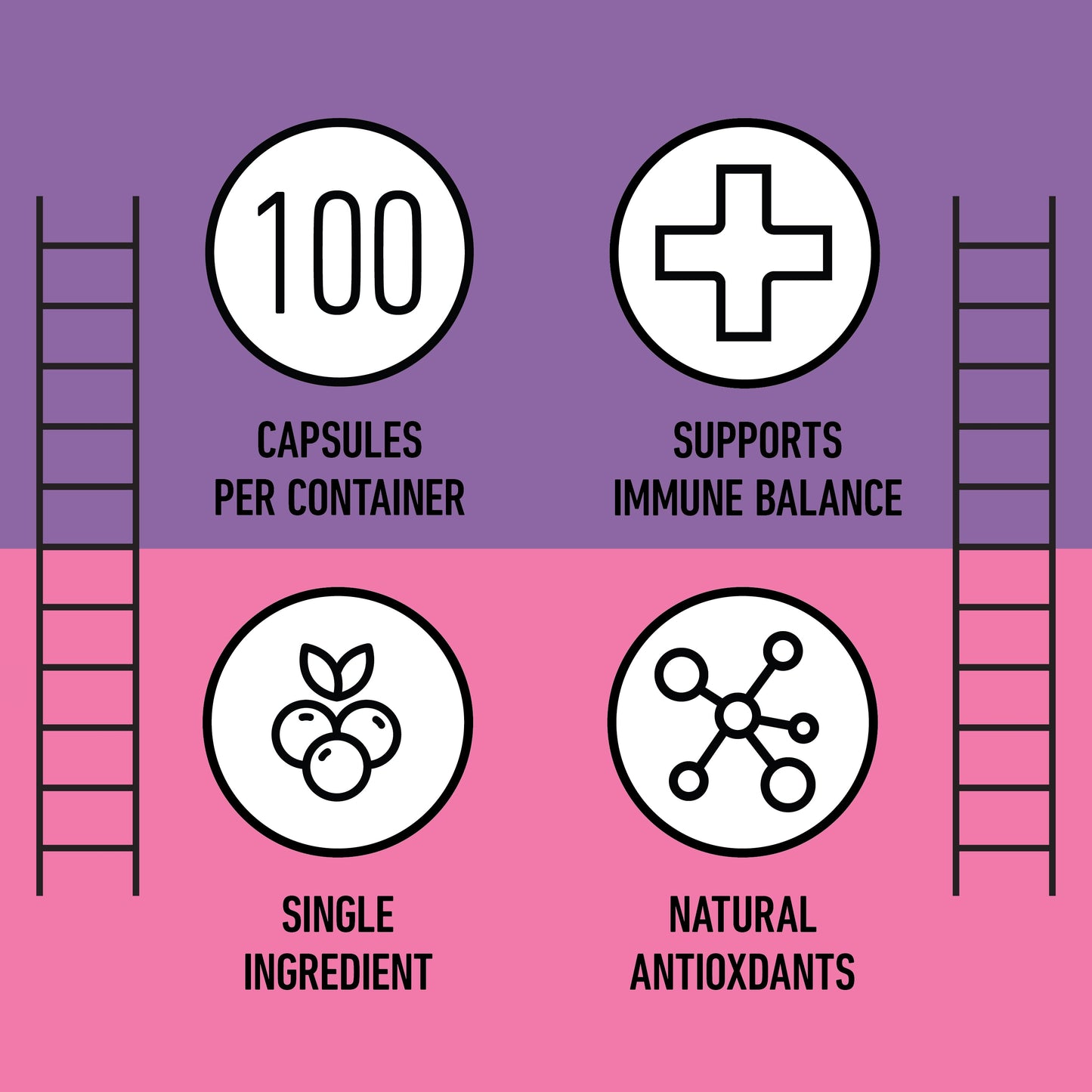 Organic Elderberry Capsules