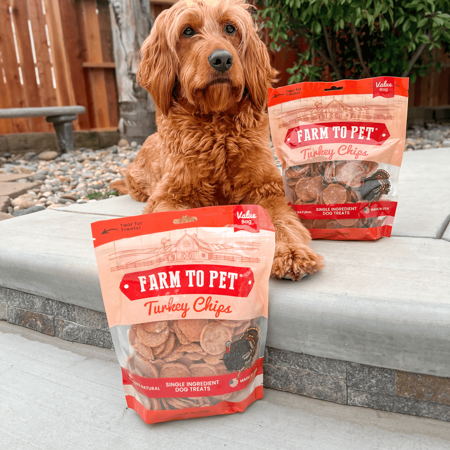 Turkey Chips for Dogs | All-Natural Single-Ingredient Healthy Dog Treats