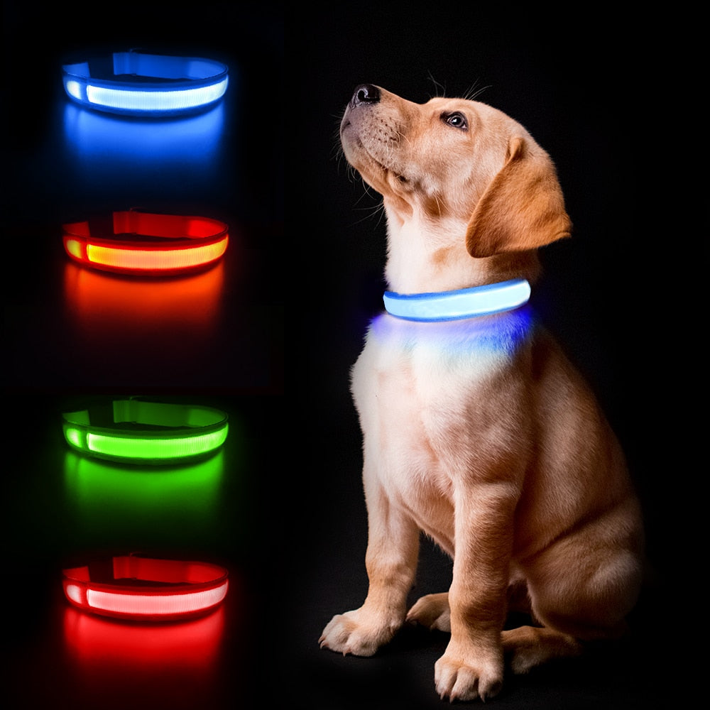 MASBRILL Dog Collar Luminous Pet Supplies Dog Collar Waterproof Safety Collars