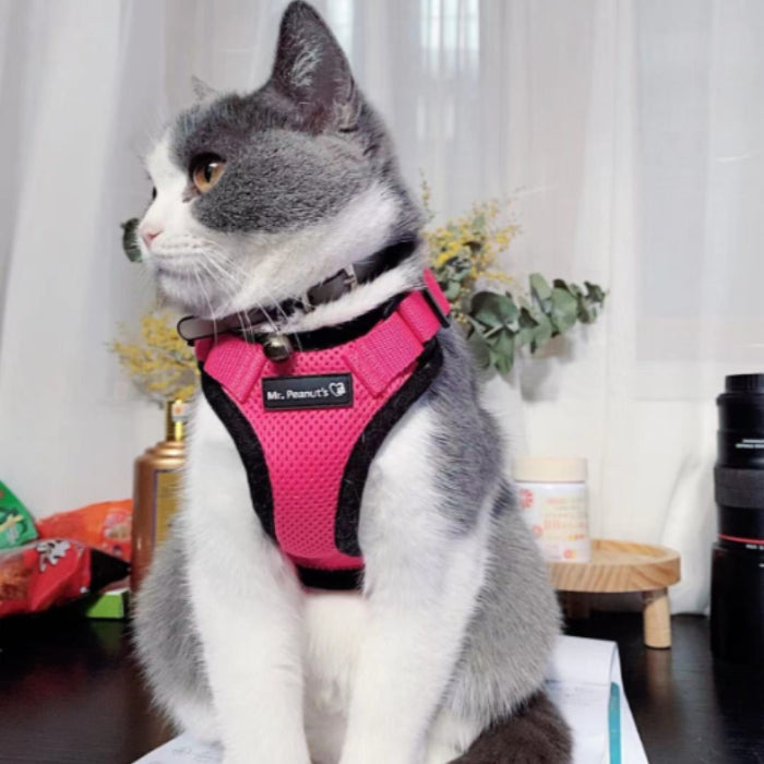 Mr. Peanut's PurrTrek Reflective Cat Harness with Matching Leash