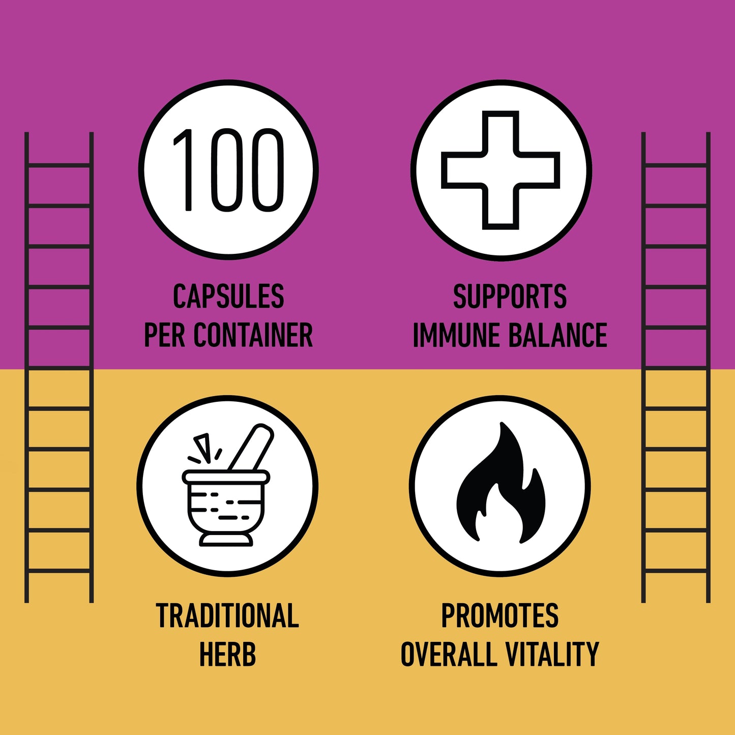 Organic Echinacea Capsules