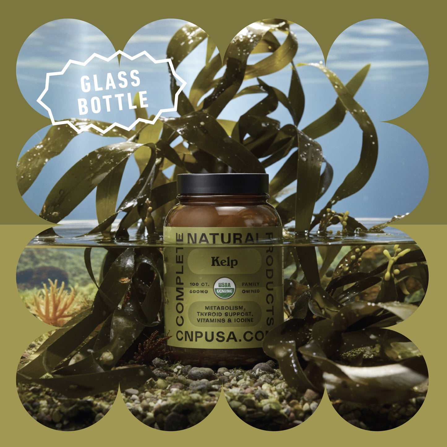 Organic Kelp Capsules