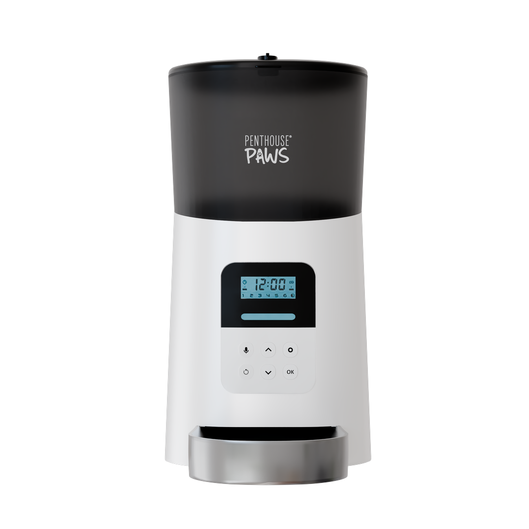 Automatic Cat Feeder