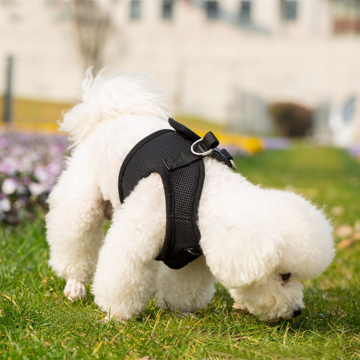 Mr. Peanut's PupTrek Harness and Leash Set,  Small Dog/Cat Soft Mesh Step In Harness Vest