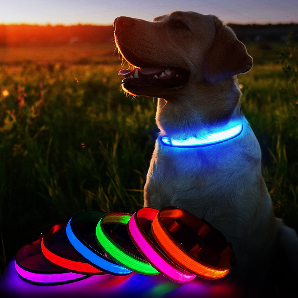MASBRILL Dog Collar Luminous Pet Supplies Dog Collar Waterproof Safety Collars