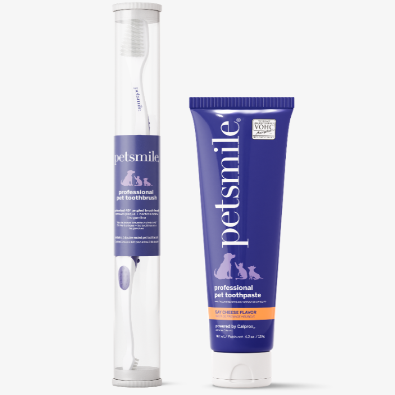 Professional Toothpaste Say Cheese Large & Professional Pet Toothbrush