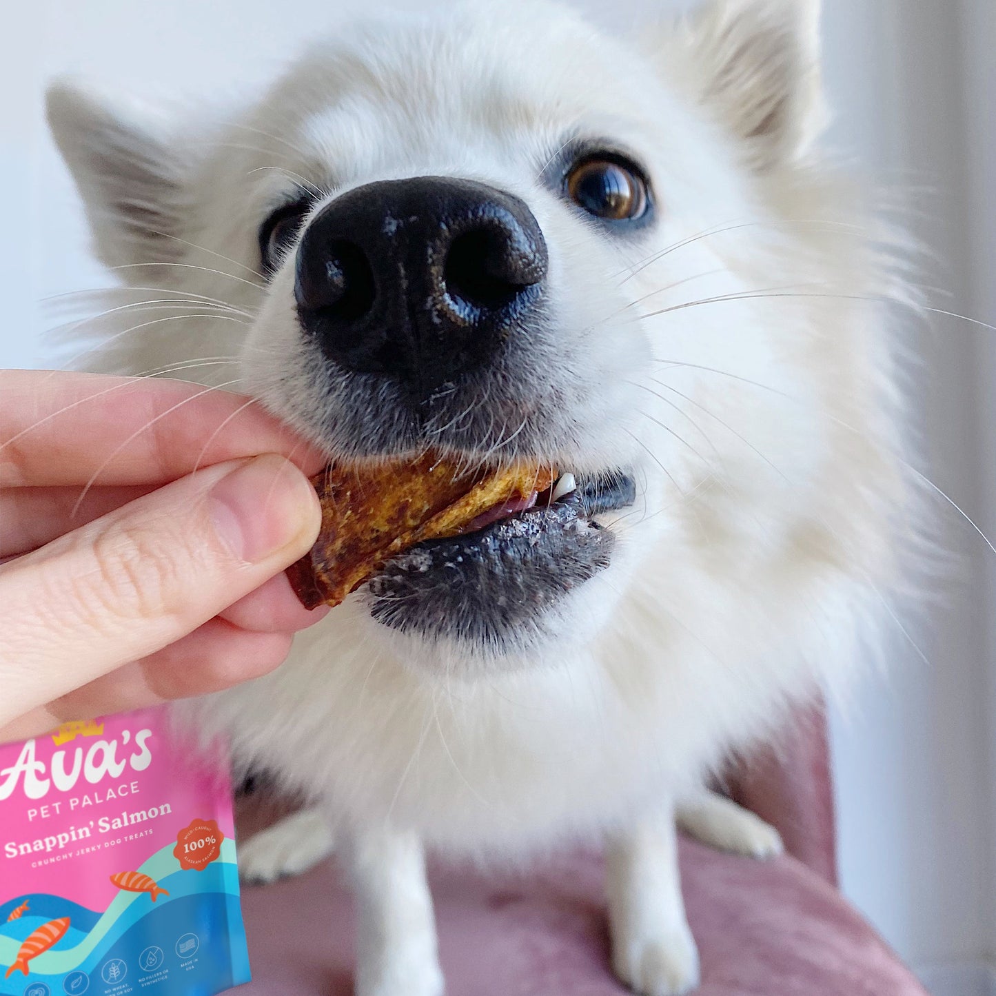 Crunchy Jerky Dog Treats - Snappin' Salmon