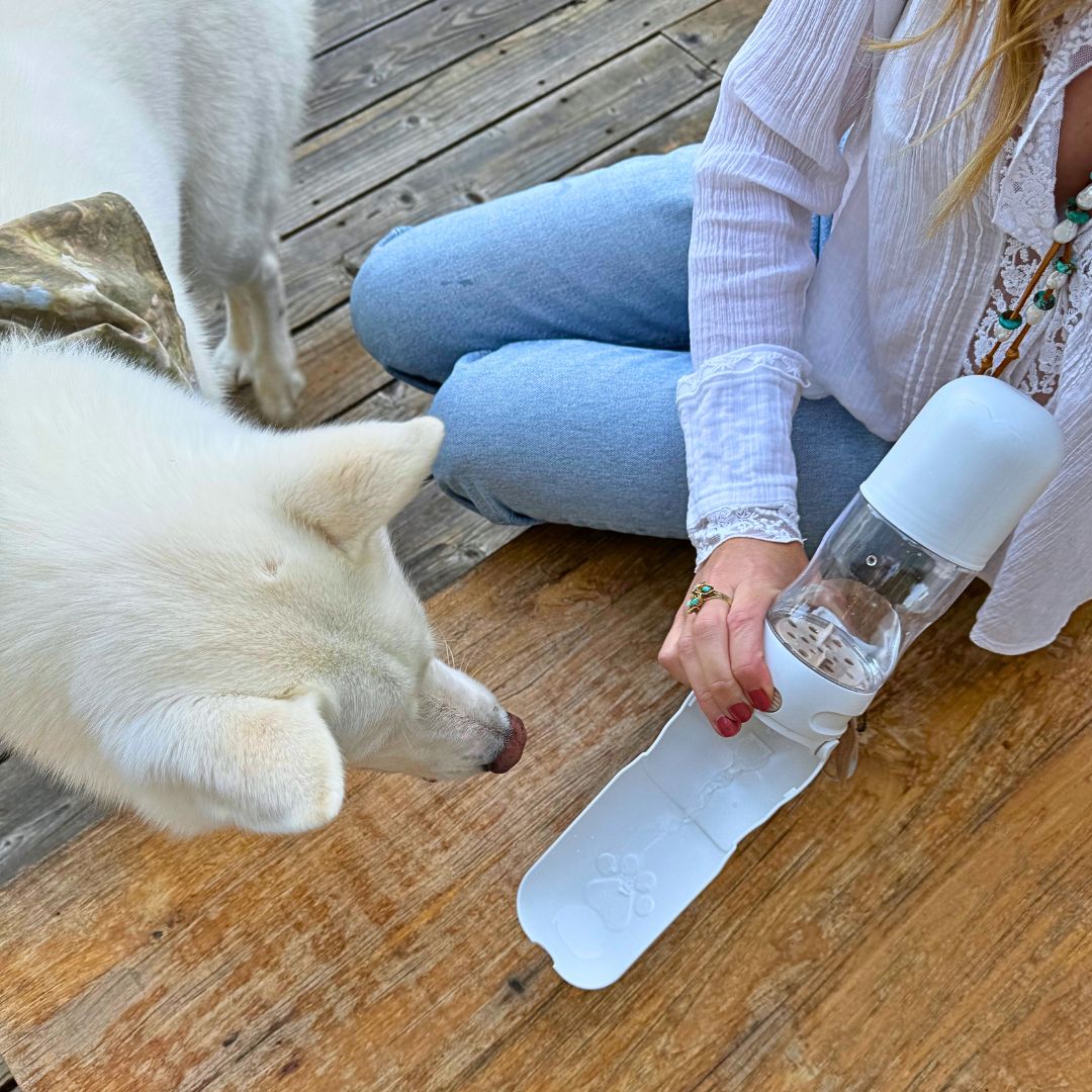 Travel Dog Water Bottle with Treat Holder – Leakproof & BPA-Free 350mL