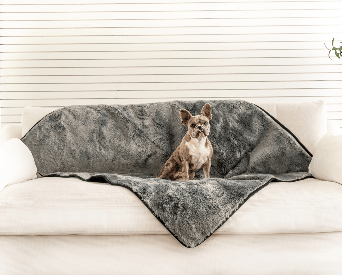 PupProtector™ Summer Short Fur Waterproof Throw Blanket - Charcoal Grey