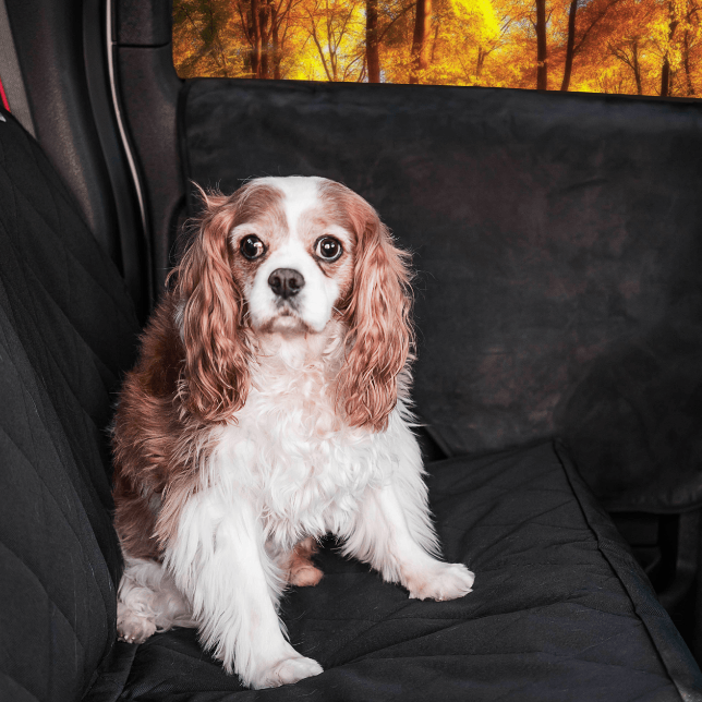 PupProtector™ Car Door Guard (2 pack)