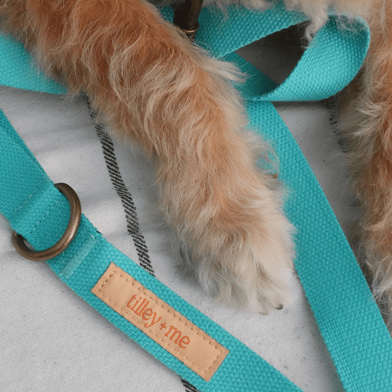 Hemp Cotton Dog Collar - Durable, Sustainable, Adjustable, Lightweight & Soft