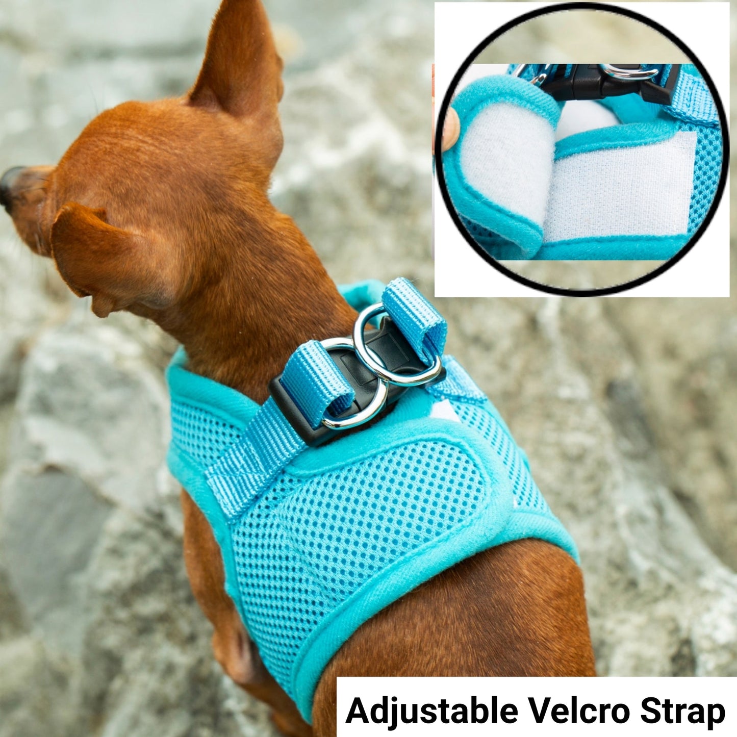 Mr. Peanut's PupTrek Harness and Leash Set,  Small Dog/Cat Soft Mesh Step In Harness Vest