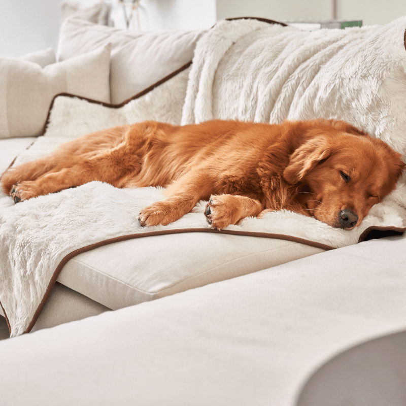 PupProtector™ Summer Short Fur Waterproof Throw Blanket - Polar White